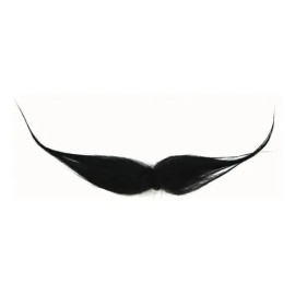 Bigote Charro