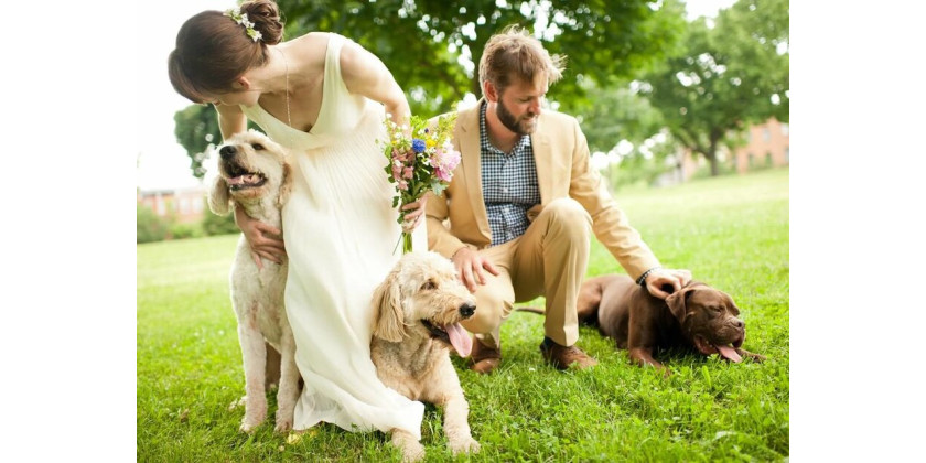 Compartir la boda con nuestras mascotas